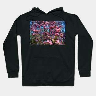 Cherry Blossoms Hoodie